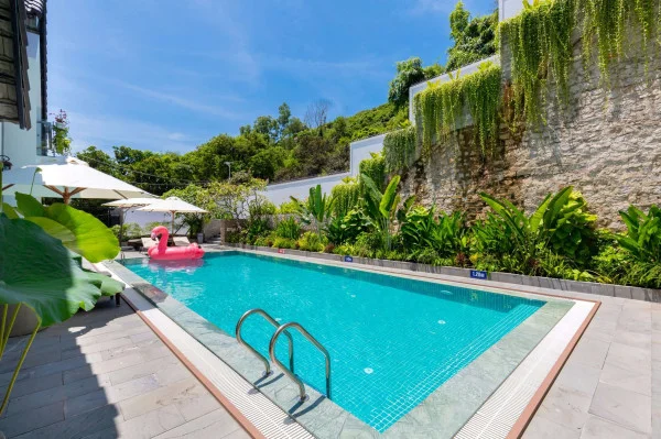 Ảnh Viva VT64 - 36