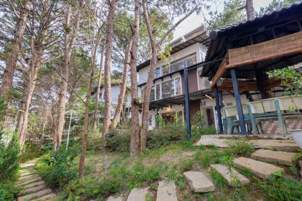 Ảnh Viva ĐL44 - 41