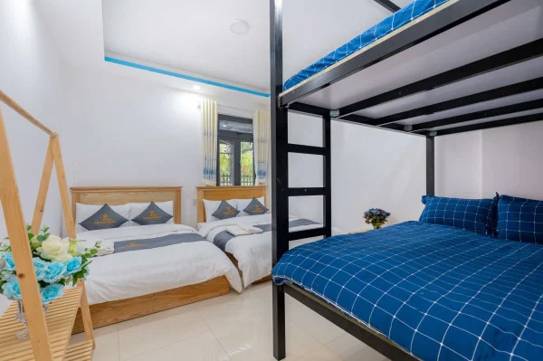 Ảnh Viva ĐL42 - 24