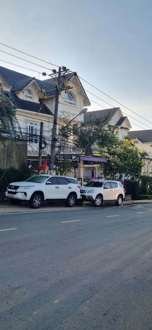 Ảnh Cẩm Tú Cầu 2 - 19