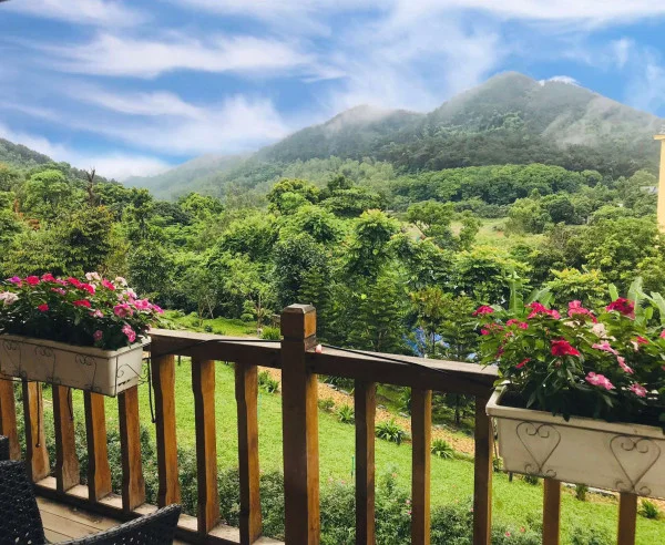 Ảnh Viva TĐ17 - 7