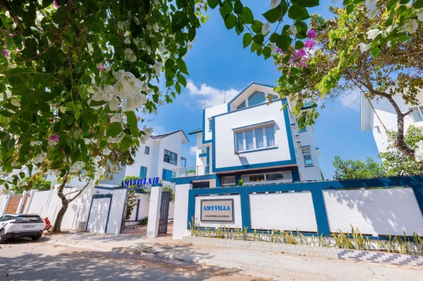 Ảnh Viva VT08 - 33