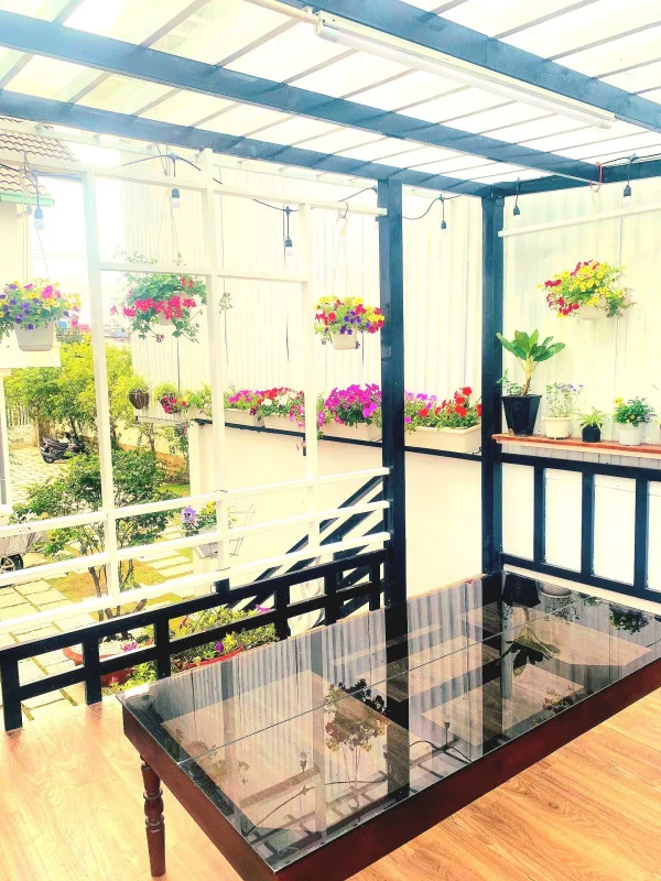 Ảnh Cẩm Tú Cầu 1