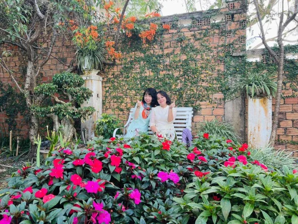 Ảnh Cẩm Tú Cầu 2 - 45