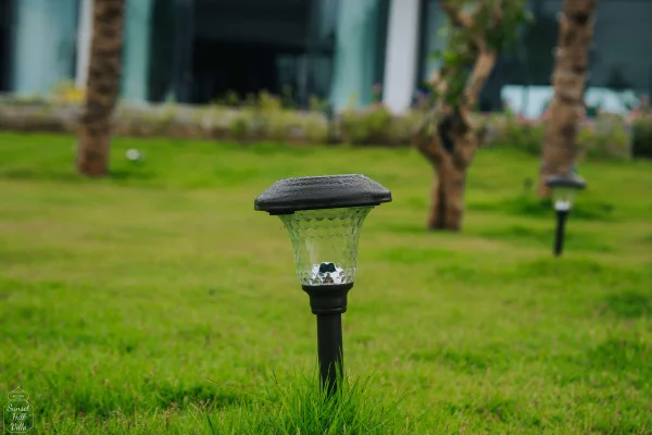 Ảnh Viva PT05 - 15