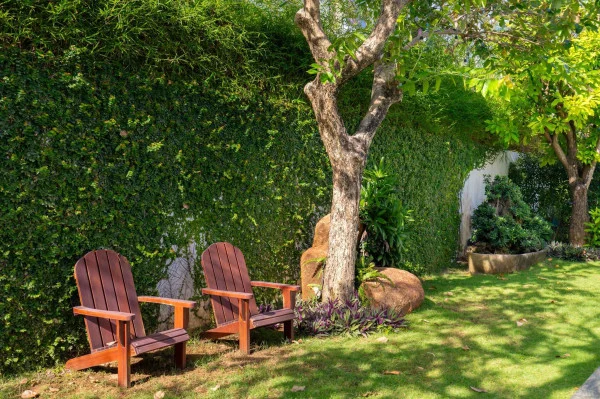 Ảnh Viva VT96 - 17