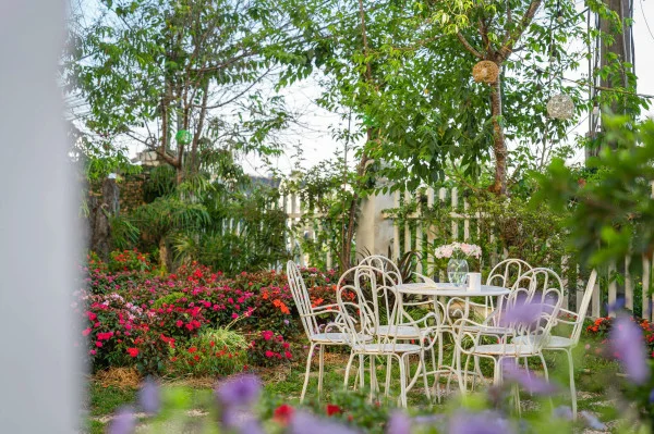 Ảnh Cẩm Tú Cầu 2 - 35