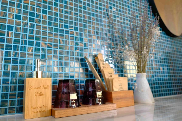 Ảnh Viva PT06 - 29