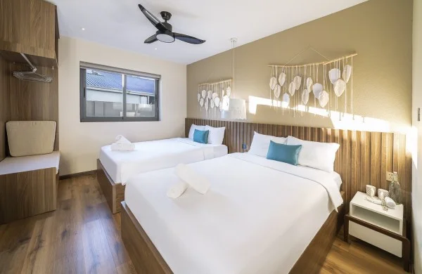 Ảnh Viva ĐL12 - 16