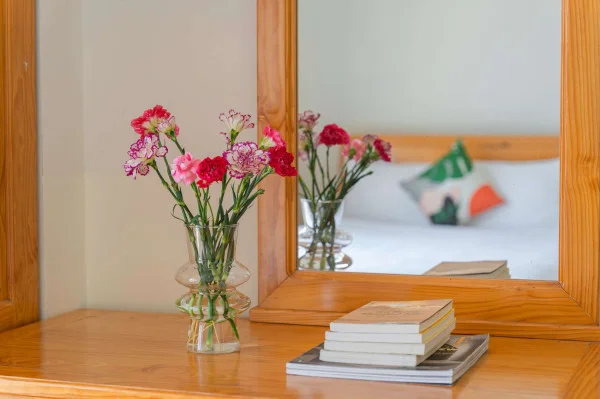 Ảnh Cẩm Tú Cầu 2 - 56