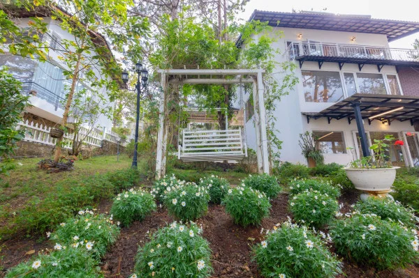 Ảnh Viva ĐL44 - 44