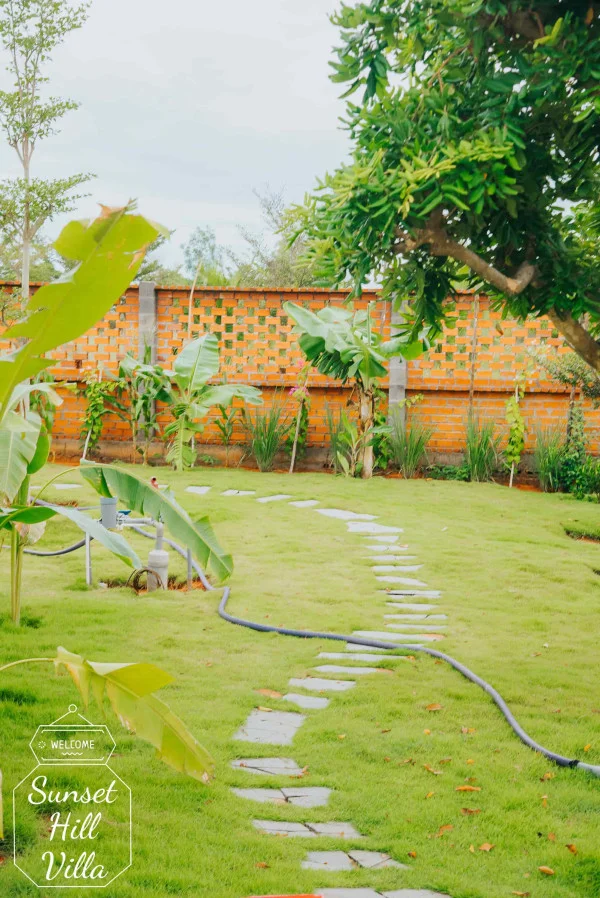 Ảnh Viva PT05 - 22