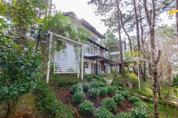 Ảnh Viva ĐL44 - 43