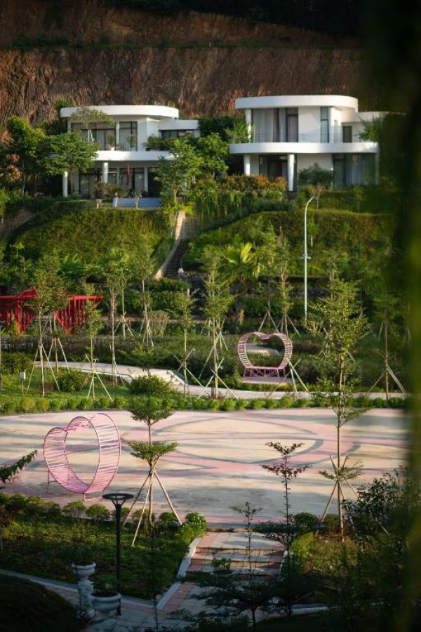 Ảnh -10