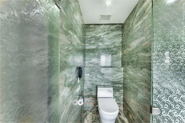 Ảnh chi tiết phòng Vice Presidential Suite (Vise Presidential Suite) 8