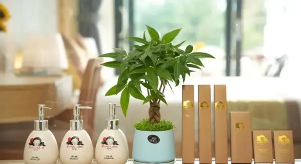 Ảnh chi tiết phòng kumochan-mc-chu-suite-with-balcony-vivatrip_04.webp