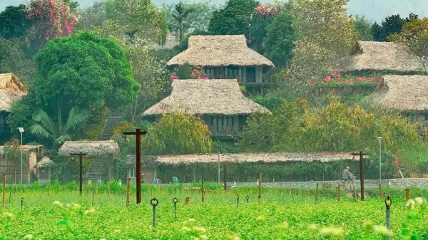 Ảnh Mai Châu Ecolodge