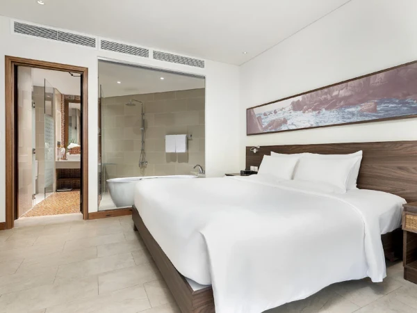 Ảnh chi tiết phòng Suite Superior có 1 Giường Đôi (Superior Suite with 1 Double Bed) 8