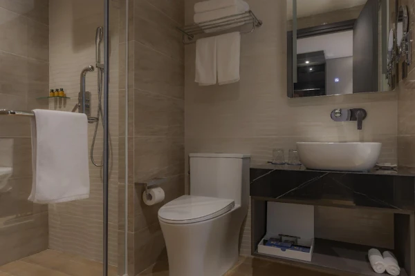 Ảnh chi tiết phòng premier-pearl-hotel-vung-tau-phong-co-dien-1-giuong-vivatrip-02.webp