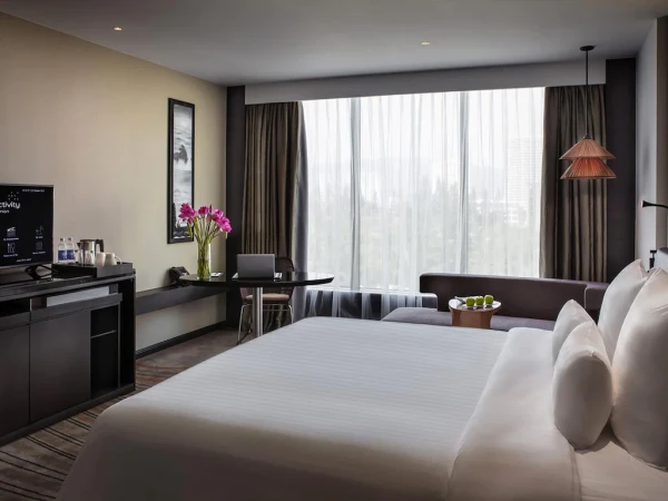 Ảnh chi tiết phòng pullman-vung-tau-phong-deluxe-co-giuong-co-king-nhin-bien-vivatrip.webp