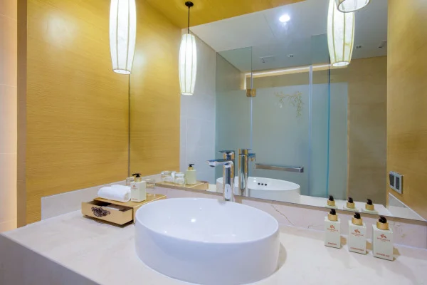 Ảnh chi tiết phòng Suite Junior One Bedroom 10