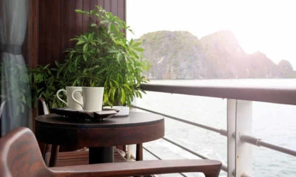 Ảnh chi tiết phòng room_1535747995_1789128742.webp