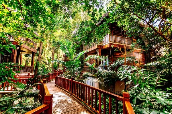 Ảnh chi tiết phòng room_1804826545_598302626.webp