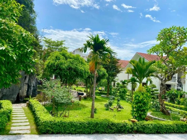 Ảnh chi tiết phòng room_1989410670_572088074.webp