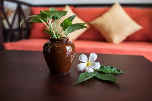 Ảnh chi tiết phòng Family Suite 7