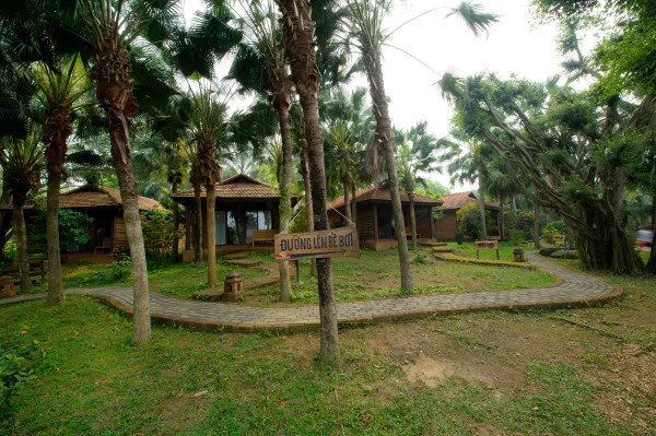 Ảnh chi tiết phòng room_534807940_1094229615.webp