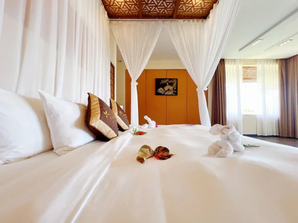 Ảnh chi tiết phòng Luxury Suite 9