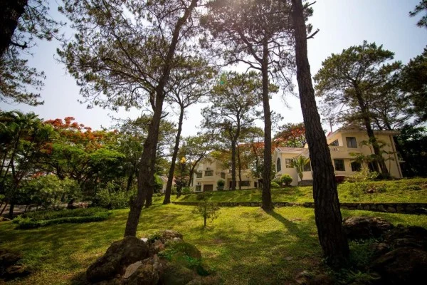 Ảnh Saigon hotel Halong