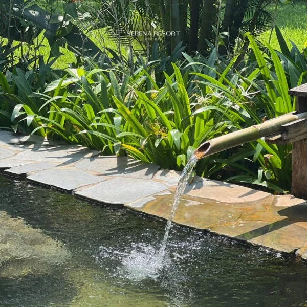 Ảnh Serena Resort Kim Bôi - Khoáng nóng tự nhiên - 10