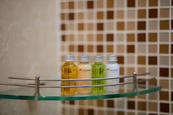 Ảnh chi tiết phòng swiss-belresort-tuyen-lam-da-lat-phong-studio-vivatrip.webp