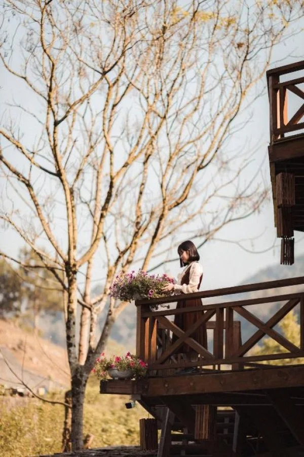 Ảnh The Nordic Village Mộc Châu - 14