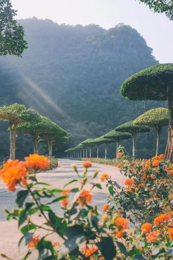 Ảnh Thung Nham Resort - 19