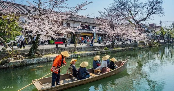 Ảnh Charter Hoa Anh đào: Takamatsu – Kurashiki – Himeji – Kobe – Kyoto – Osaka – Awaji – Takamatsu – Thưởng thức bò Kobe - 1 ngày tự do tại Kobe - 10