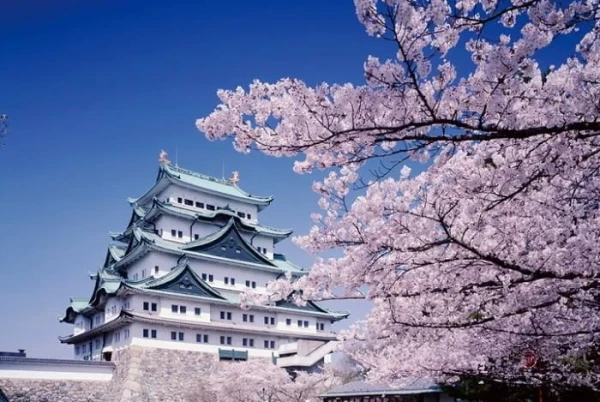 Ảnh Tour Nhật Bản : Tokyo - Núi Phú Sĩ - Công viên trượt tuyết Fujiten- Nagoya - Kyoto - Kobe - Osaka (4 đêm khách sạn, trải nghiệm shinkansen, thưởng thức bò Kobe, tham quan đại lộ Shibuya) | Tặng kem rắc vàng - 8