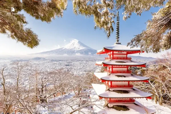 Ảnh Tour Nhật Bản : Nagoya - Kyoto - Shirakawago - Matsumoto - Núi Phú Sĩ - Tokyo (Thưởng Thức Thịt Bò Hida)