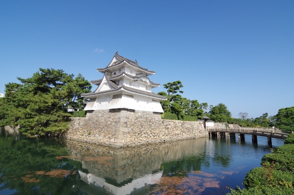 Ảnh Charter Hoa Anh đào: Takamatsu – Kurashiki – Himeji – Kobe – Kyoto – Osaka – Awaji – Takamatsu – Thưởng thức bò Kobe - 1 ngày tự do tại Kobe - 11