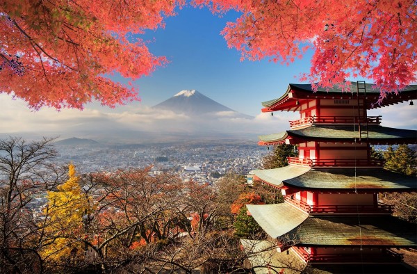 Ảnh Tour Nhật Bản: Osaka - Kyoto - Núi Phú Sĩ - Tokyo 5 ngày 4 đêm