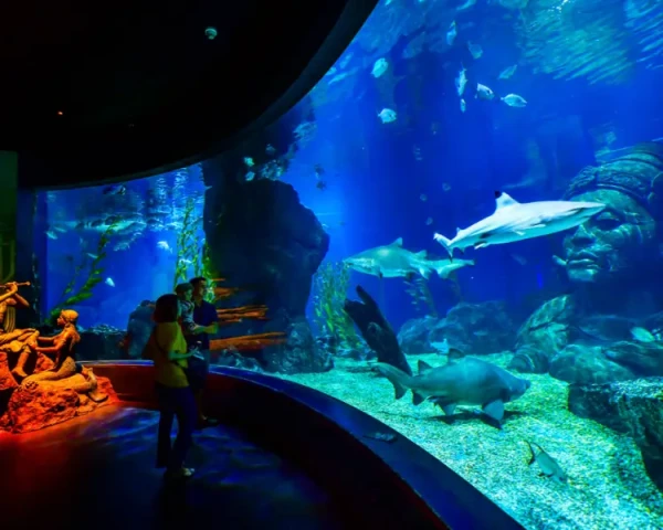 Ảnh Thái Lan: Bangkok - Pattaya (Bảo tàng Lighting Art và Vườn khinh khí cầu, Đảo San Hô, Chợ nổi Bốn Miền, thành cổ Muang Boran, Café cá KOI Paboon Café, tặng thưởng thức món sườn cay và xôi xoài Thái Lan) khởi hành từ Cần Thơ - 11