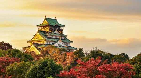 Ảnh Tour Nhật Bản : Tokyo - Núi Phú Sĩ - Công viên trượt tuyết Fujiten- Nagoya - Kyoto - Kobe - Osaka (4 đêm khách sạn, trải nghiệm shinkansen, thưởng thức bò Kobe, tham quan đại lộ Shibuya) | Tặng kem rắc vàng - 13