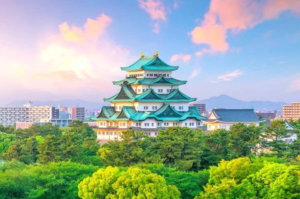 Ảnh Tour Nhật Bản : Osaka - Kobe - Kyoto - Nagoya - Oshino Hakkai -Núi Phú Sĩ - Tokyo | Thưởng thức bò Kobe | Trải nghiệm Shinkansen & Trà Đạo | Hái trái cây - 7