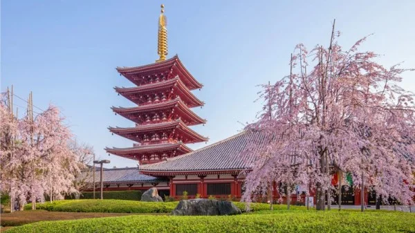 Ảnh Tour Nhật Bản : Tokyo - Núi Phú Sĩ - Công viên trượt tuyết Fujiten- Nagoya - Kyoto - Kobe - Osaka (4 đêm khách sạn, trải nghiệm shinkansen, thưởng thức bò Kobe, tham quan đại lộ Shibuya) | Tặng kem rắc vàng - 11