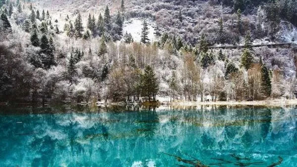 Ảnh Tour Trung Quốc: Thành Đô - Cửu Trại Câu thiên đường hạ giới - công viên Gấu Trúc - Lạc Sơn Đại Phật - 11