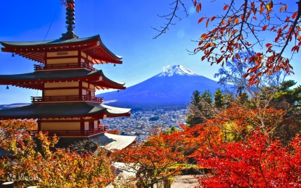 Ảnh Tour Nhật Bản: Osaka - Kyoto - Núi Phú Sĩ - Tokyo 5 ngày 4 đêm - 9