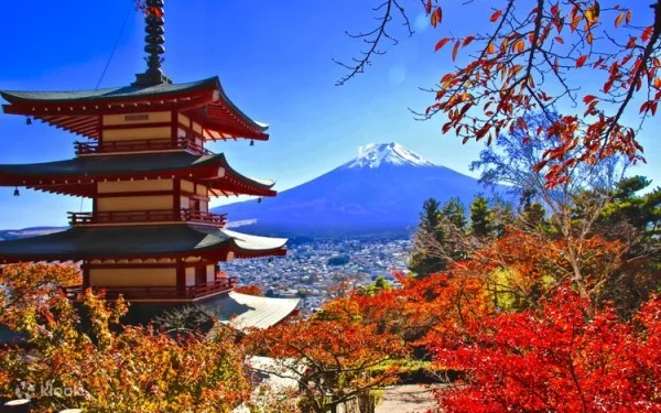 Ảnh Tour Nhật Bản: Osaka - Kyoto - Núi Phú Sĩ - Tokyo 5 ngày 4 đêm - 9