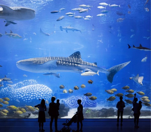 Ảnh Tour Hồng Kông: Núi Thái Bình - Chu Hải - Quảng Châu - Thẩm Quyến - Tặng trải nghiệm xe Ding Ding 6 ngày 5 đêm - 9