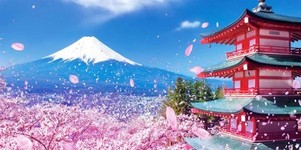 Ảnh Charter bay thẳng Nhật Bản: Nagoya - Làng cổ Shirakawa - Takayama - Kyoto - Rừng Tre Arashiyama - Kobe - Osaka - Nara (Tour Nhật Bản 5N4Đ)